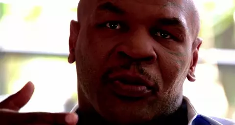 Tyson 2008