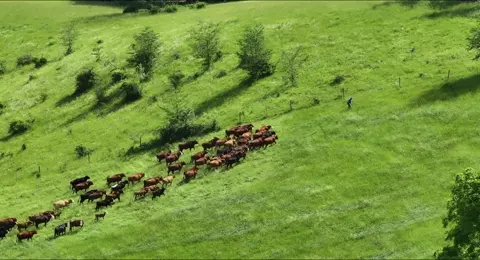 The Lunatic Farmer 2025