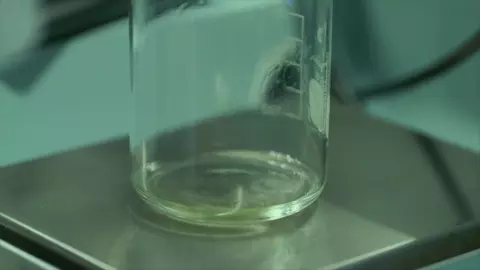 Inside the Dream- Mugler 2024