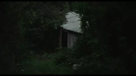 The Human Hibernation 2024