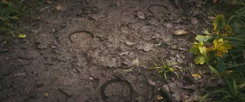 Tale of the Forest Unicorn 2025