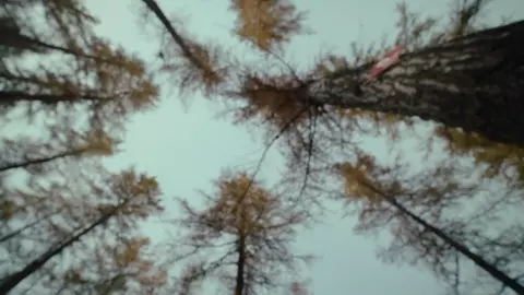 Beyond Prognosis 2024