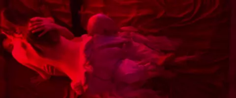 The Mollie Project 2025