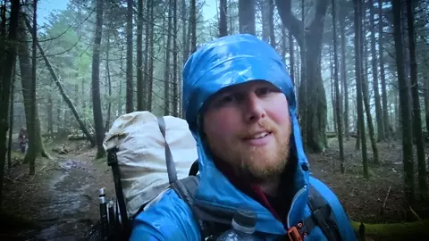 Beyond the Tree Line 2024