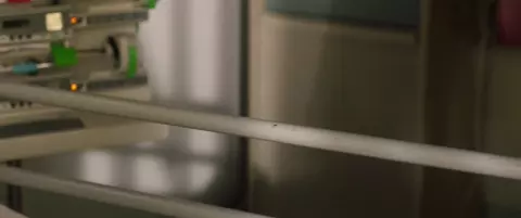 Brother and Sister 2022