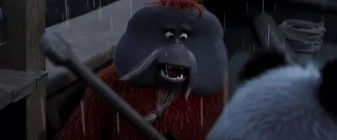 Panda Bear in Africa 2024