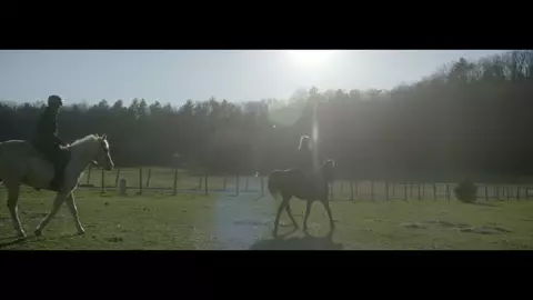 The Notorious Finster 2024