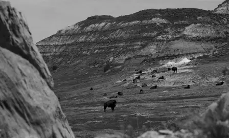 Under the Crystal Sky 2025