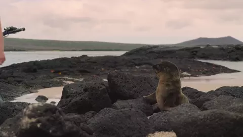 Guardians of the Galapagos 2025