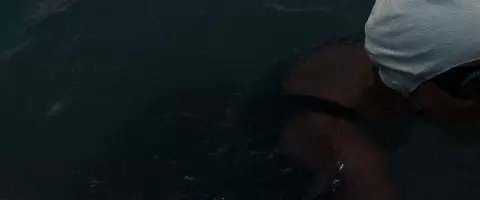 Vindication Swim 2024