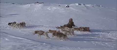 Shadow of the Wolf 1992