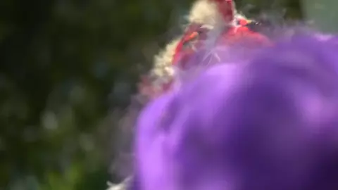 Attack of the Killer Chickens- The Movie 2022