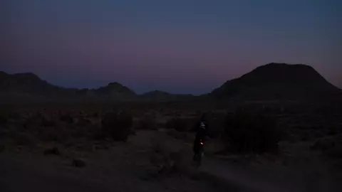 The Desert Said Dance 2021
