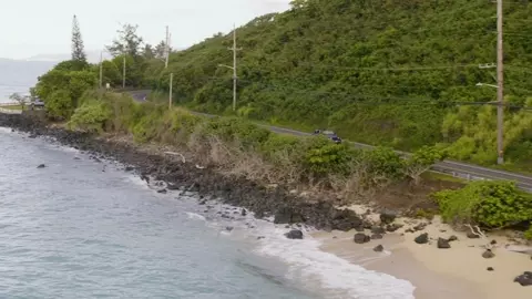 Aloha Heart 2023