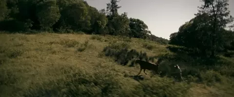Eden 2025