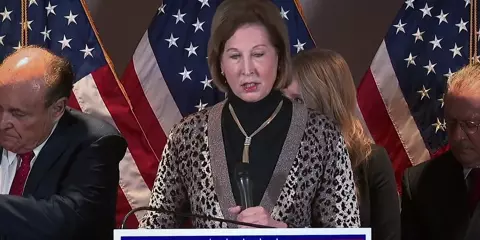 Stopping the Steal 2024