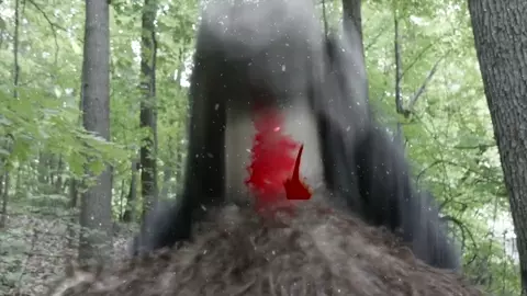 Frozen Sasquatch 2018