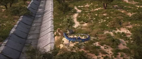 Gracie & Pedro- Pets to the Rescue 2024