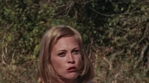 Faye 2024
