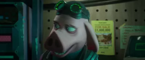 Hitpig 2024