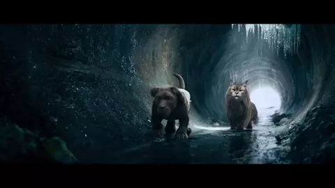 Cat and Dog 2024