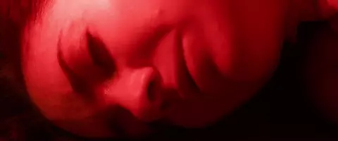 The Girl in the Trunk 2024