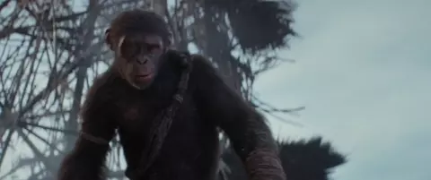 Kingdom of the Planet of the Apes 2024