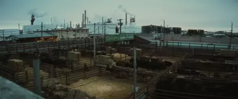 Blood for Dust 2024