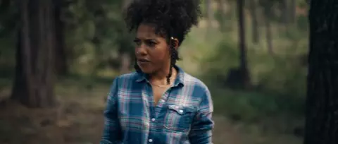 Stranger in the Woods 2024