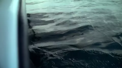 Shark Beach with Anthony Mackie 2024