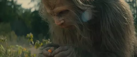 Sasquatch Sunset 2024
