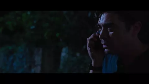 Vanished into the Night 2024